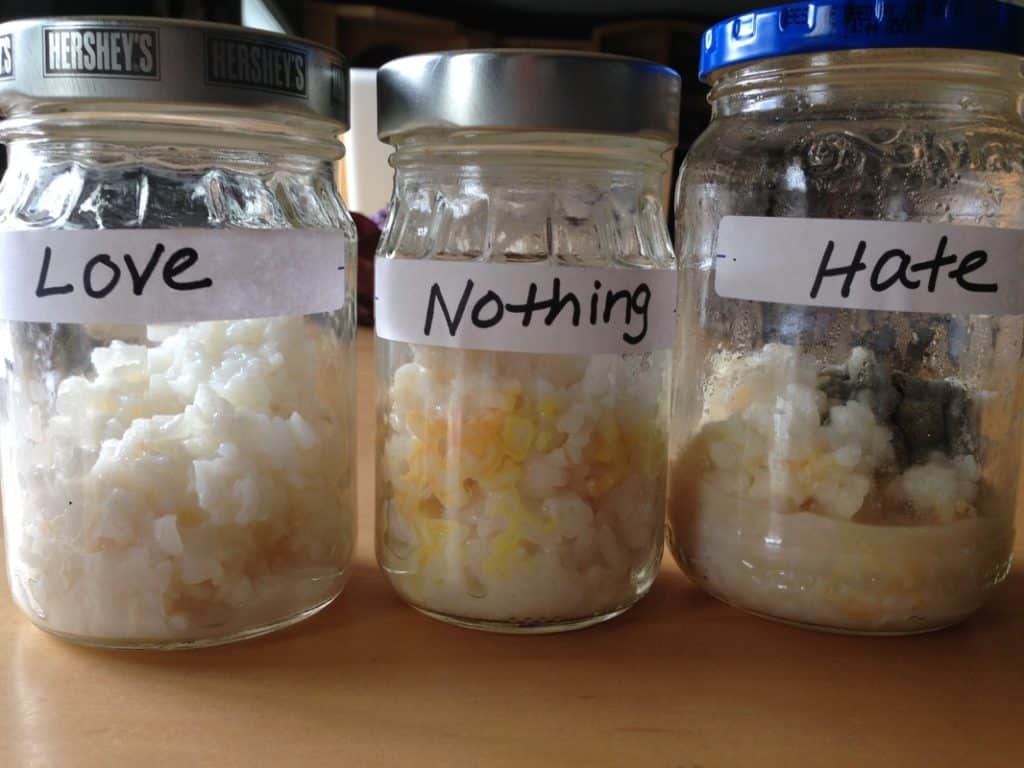 Dr. Emoto rice experiment Love, Nothing, Hate Rice Experiment