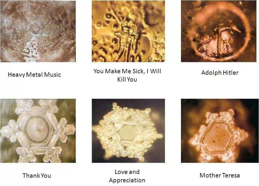 Masaru Emoto Experiment