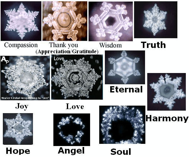 Masaru Emoto Thank you