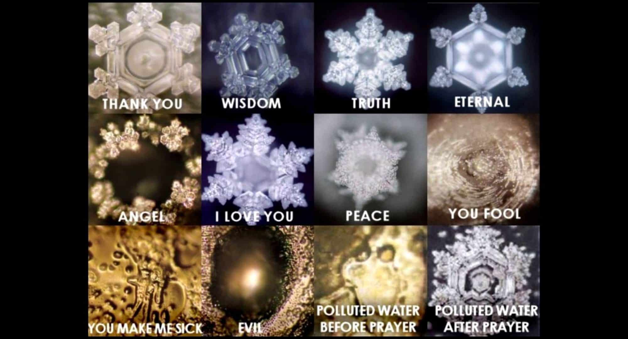 Masaru Emoto Water Crystals